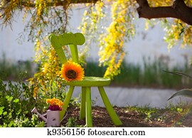 rustic scene showing the beauty of nature