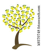 lemon tree lemon tree