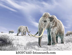 שני, ממותה, ב, a, תחום, כסה, של, snow.