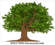 Big tree Big tree