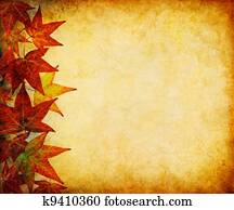 נפול עלה, שוליים