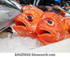 Fresh fish in a fish market.