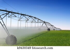 colheita, irrigação