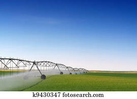 colheita, irrigação