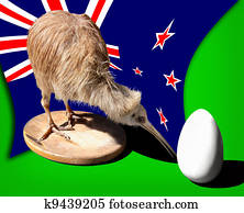 Kiwi Oiseau Banque d’images et photographies 856 kiwi oiseau Des images