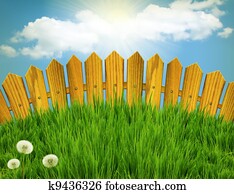 Wood fence and green grass meadow. Summer landscape with sun light Wood fence and green grass meadow. Summer landscape with sun light