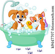 כלב, ו, חתול, בעל אמבטיה