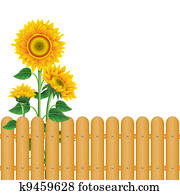 Background with sunflowers Background with sunflowers