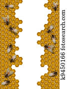 Bees working frame Bees working frame
