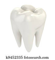 isolated tooth isolated tooth