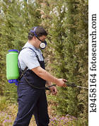 spraying insects spraying insects