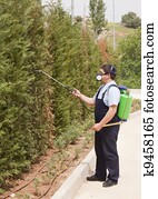 spraying insects spraying insects