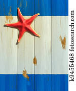 Starfish on wood board Starfish on wood board