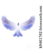 dove dove