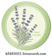 Sweet Lavender Herb Icon Sweet Lavender Herb Icon