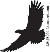 águia, vetorial