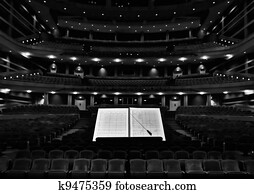 sala de conciertos, con, conductor, estante