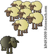 ovelha preta, e, rebanho