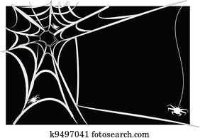 Spider Spider