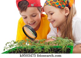 crianças, aprendizagem, crescer, alimento