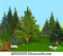 Forest Landscape Forest Landscape