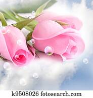 rosas cor-de-rosa, nuvens