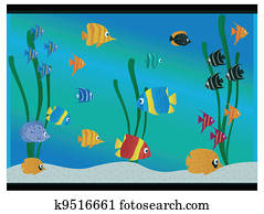 Aquarium Aquarium