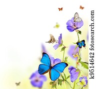 Butterflies in meadow Butterflies in meadow