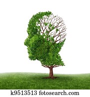 cerebro, función, pérdida