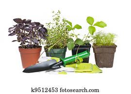 ferramentas ajardinando, e, plantas