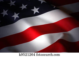 US Flag US Flag