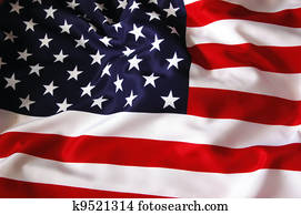US Flag US Flag