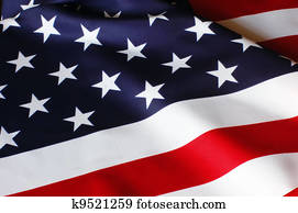 US Flag US Flag