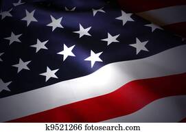 US Flag US Flag