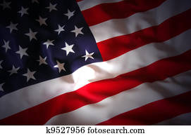 US Flag US Flag