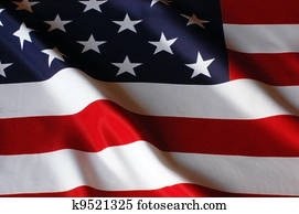 US Flag US Flag