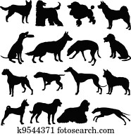 dogs dogs