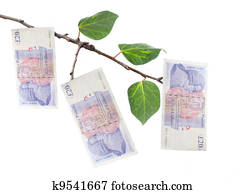 Money tree