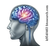 spark of genius brain spark of genius brain