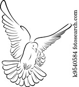 יונה, ב, צחצח שבץ, וקטור