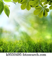 abstratos, primavera, e, verão, fundos