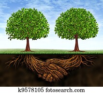 עסק, שיתוף פעולה, גידול