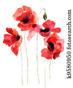 Stylized Poppy flowers illustration Stylized Poppy flowers illustration