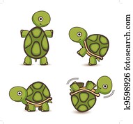 Turtle set Turtle set
