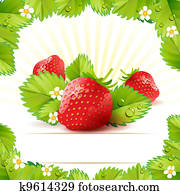 Strawberry Strawberry