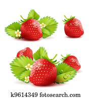 Strawberry Strawberry