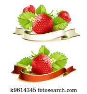 Strawberry Strawberry