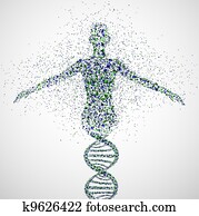 protótipo, de, mulheres