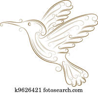 Sketch of hummingbird Sketch of hummingbird