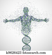 דוגמה ראשונית, של, איש